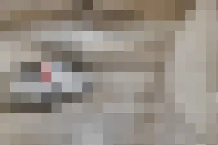 De Burcht 32 Breda thumbnail 29