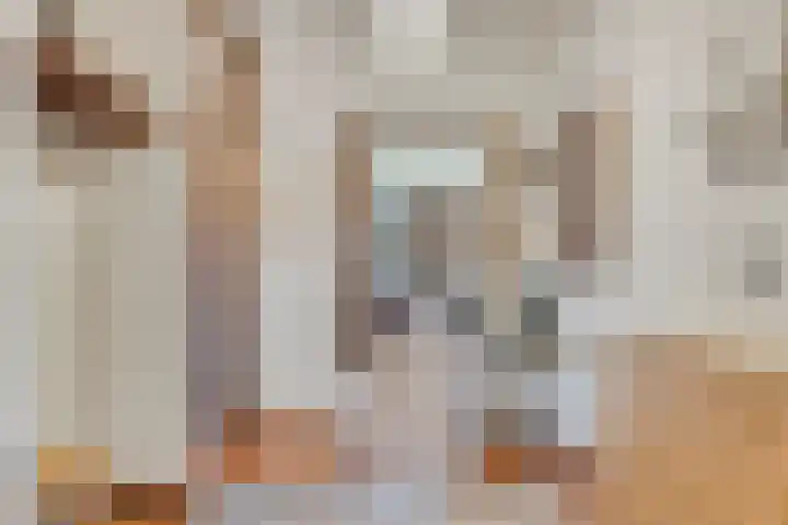 De Burcht 32 Breda thumbnail 5