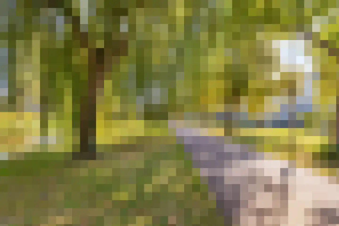 De Burcht 33 Purmerend thumbnail 31