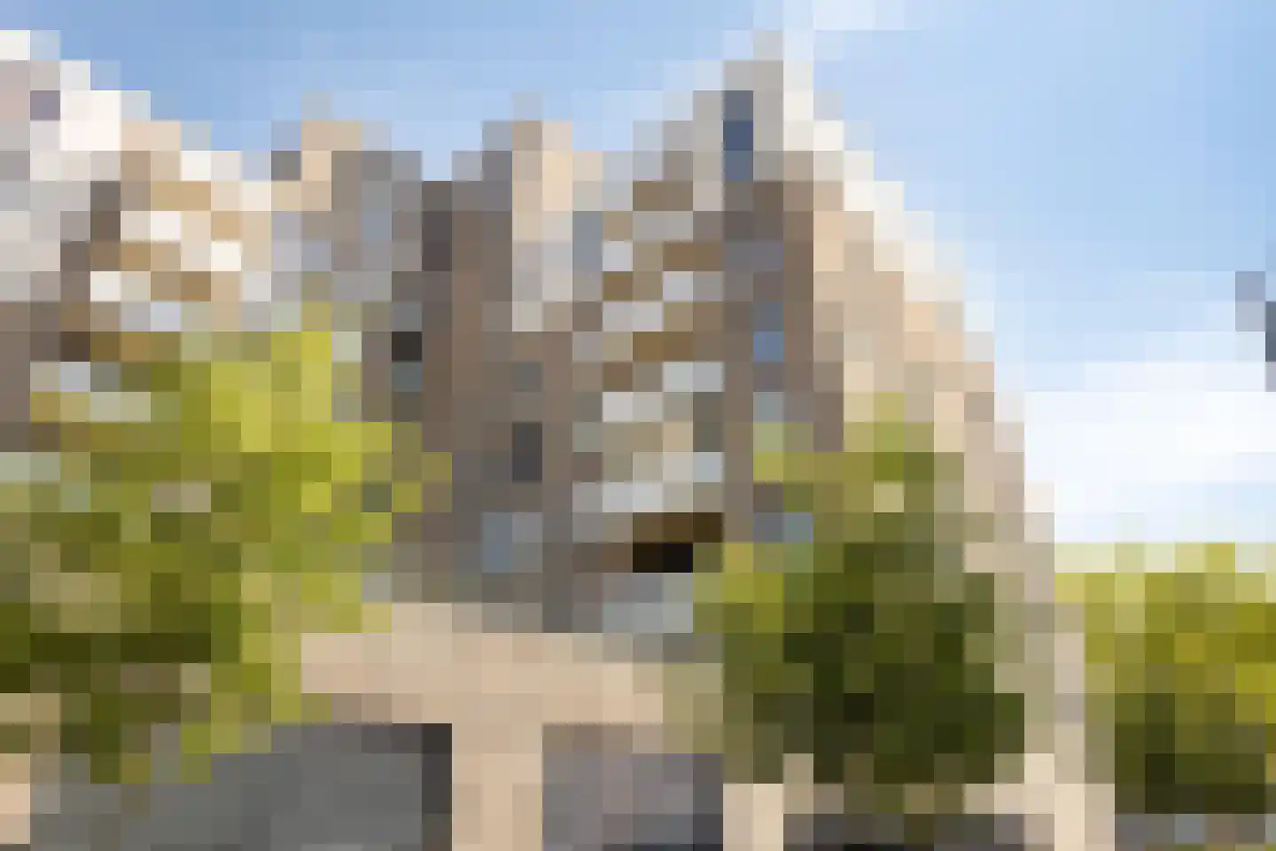 De Burcht 33 Purmerend thumbnail 34