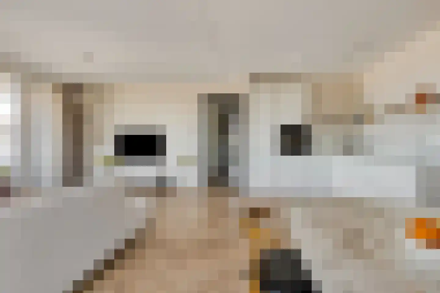 De Burcht 33 Purmerend thumbnail 4