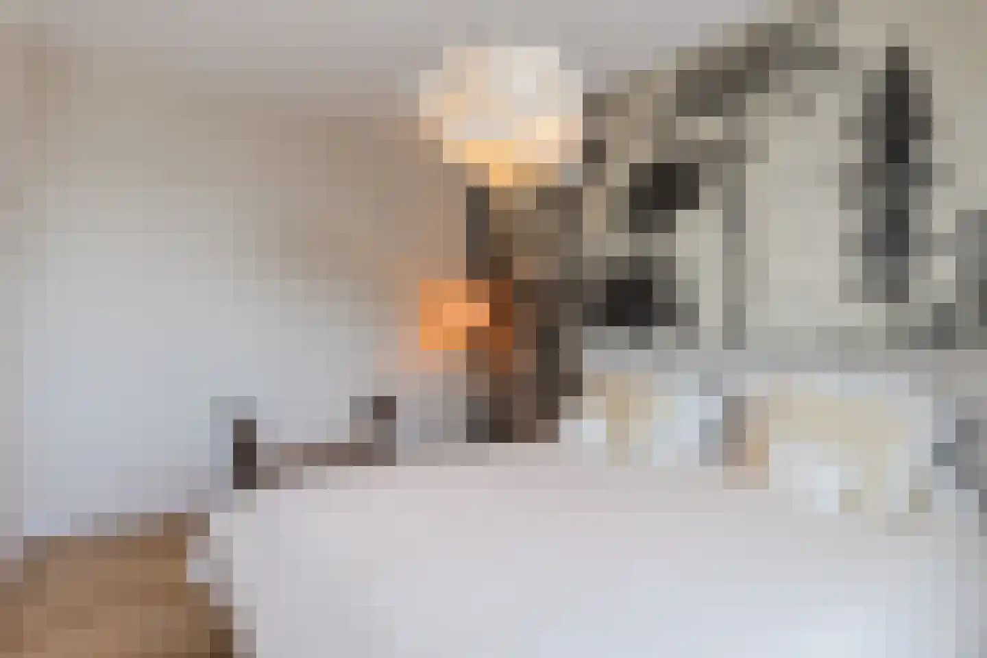 De Burcht 34 Werkendam thumbnail 20