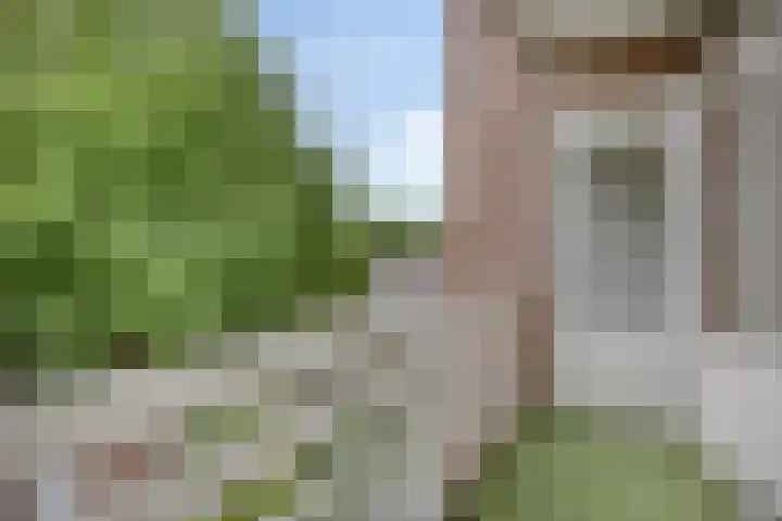 De Burcht 38 Arnhem thumbnail 11