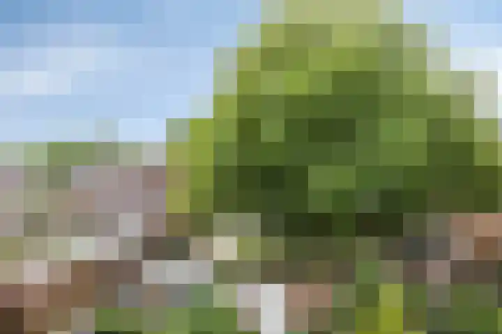 De Burcht 38 Arnhem thumbnail 12