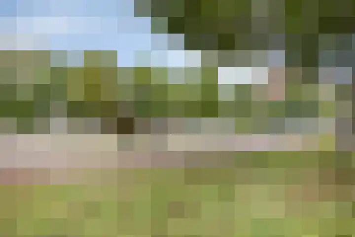 De Burcht 38 Arnhem thumbnail 16