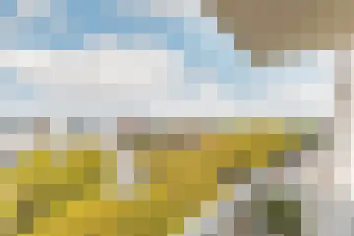 De Burcht 39 Purmerend thumbnail 40