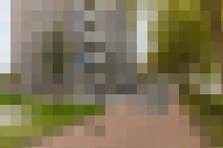 De Burcht 39 Purmerend thumbnail 45