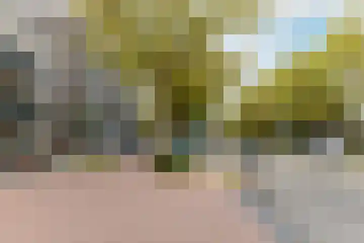 De Burcht 39 Purmerend thumbnail 46