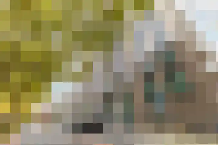 De Burcht 39 Purmerend thumbnail 6