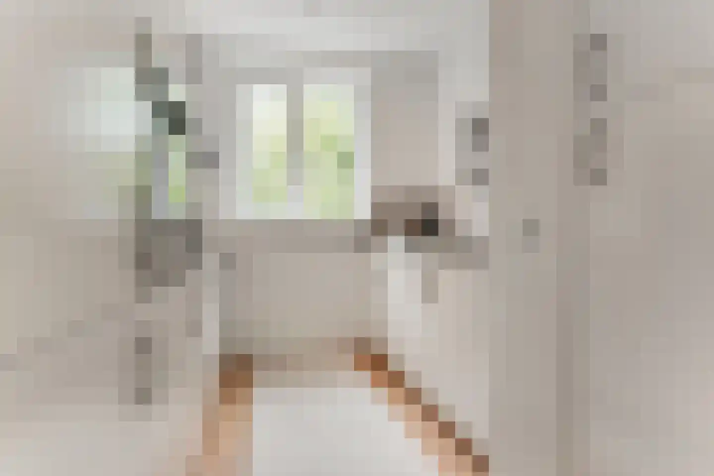 De Burcht 40 Arnhem thumbnail 13