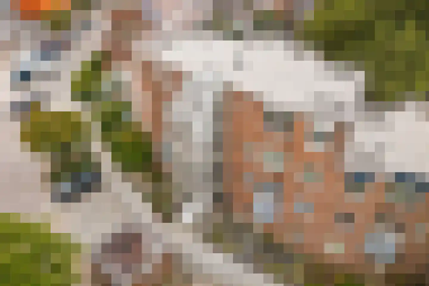 De Burcht 40 Arnhem thumbnail 24