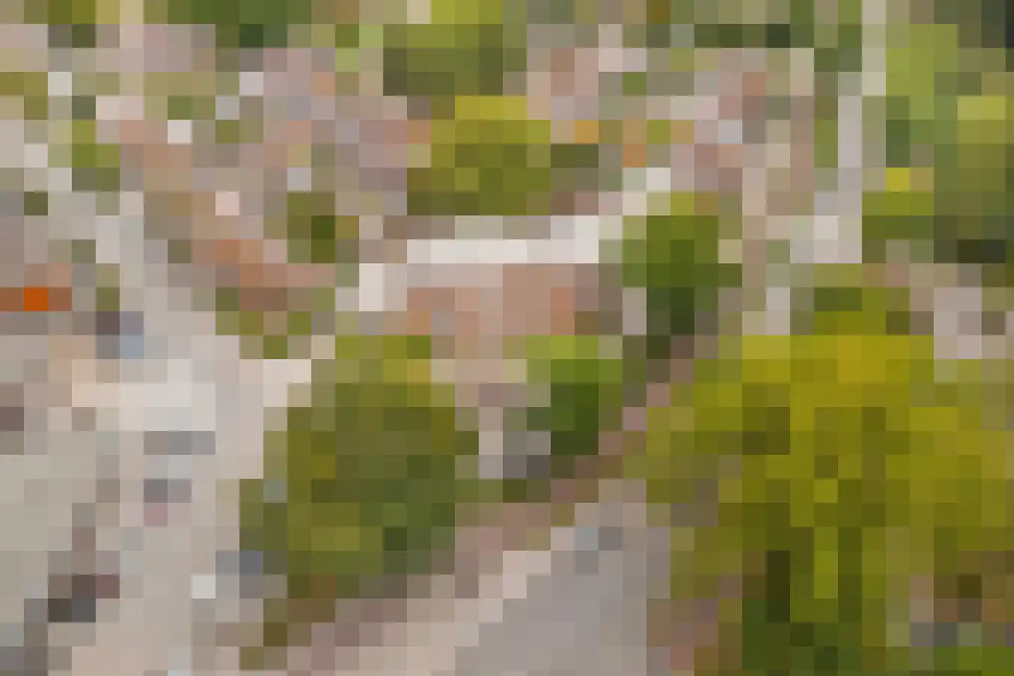 De Burcht 40 Arnhem thumbnail 28