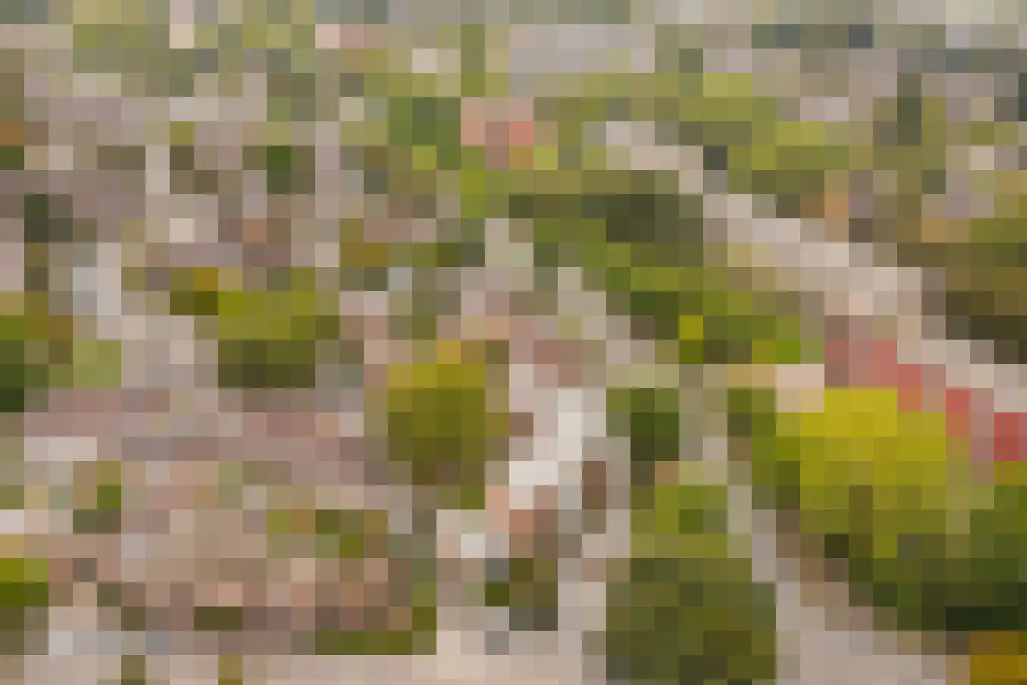 De Burcht 40 Arnhem thumbnail 30