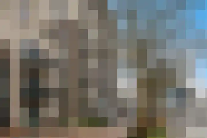 De Burcht 44 Purmerend thumbnail 39
