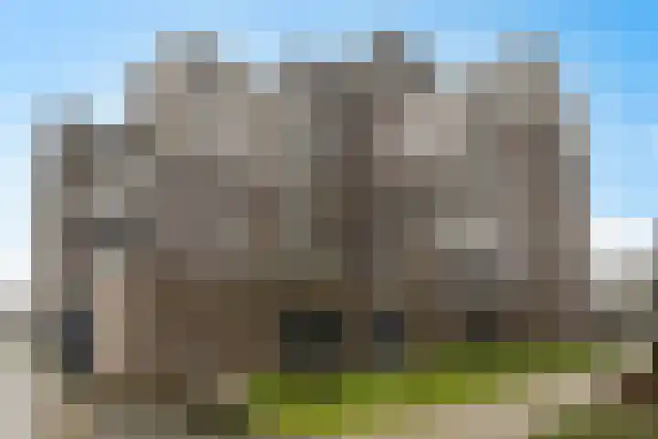 De Burcht 44 Purmerend thumbnail 43