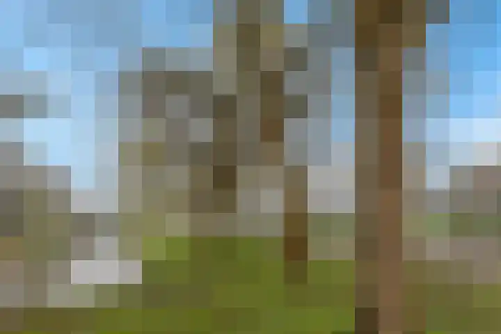 De Burcht 44 Purmerend thumbnail 47