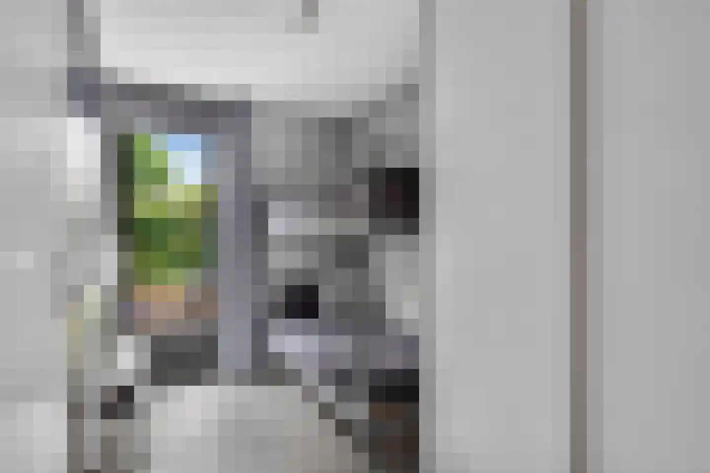De Burcht 48 Apeldoorn thumbnail 14