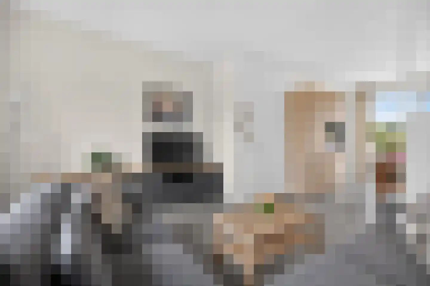 De Burcht 48 Apeldoorn thumbnail 19