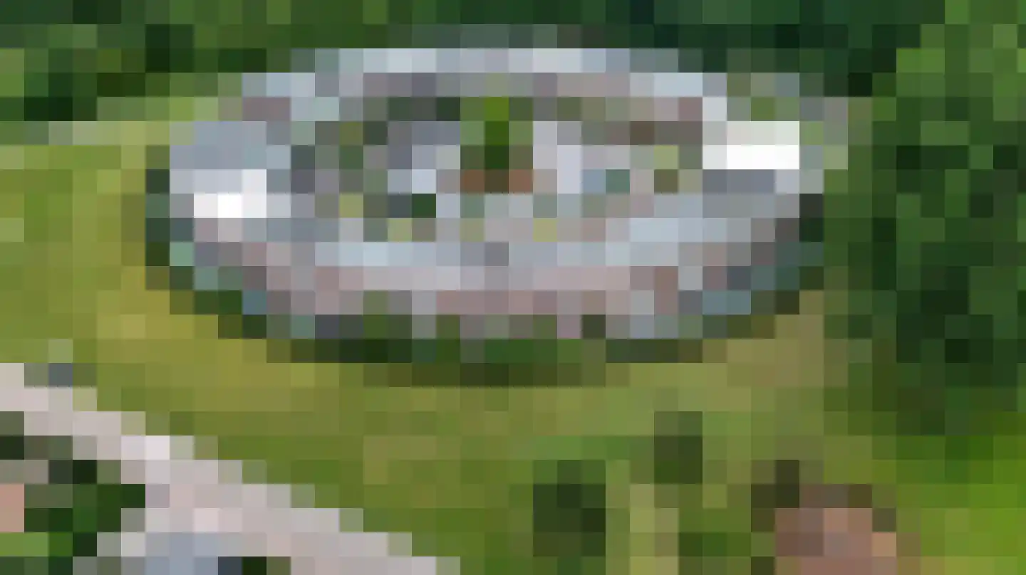 De Burcht 48 Apeldoorn thumbnail 35