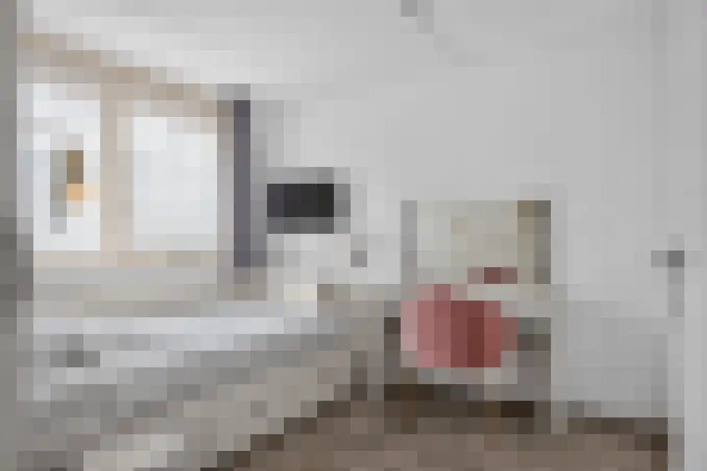 De Burcht 48 Apeldoorn thumbnail 8