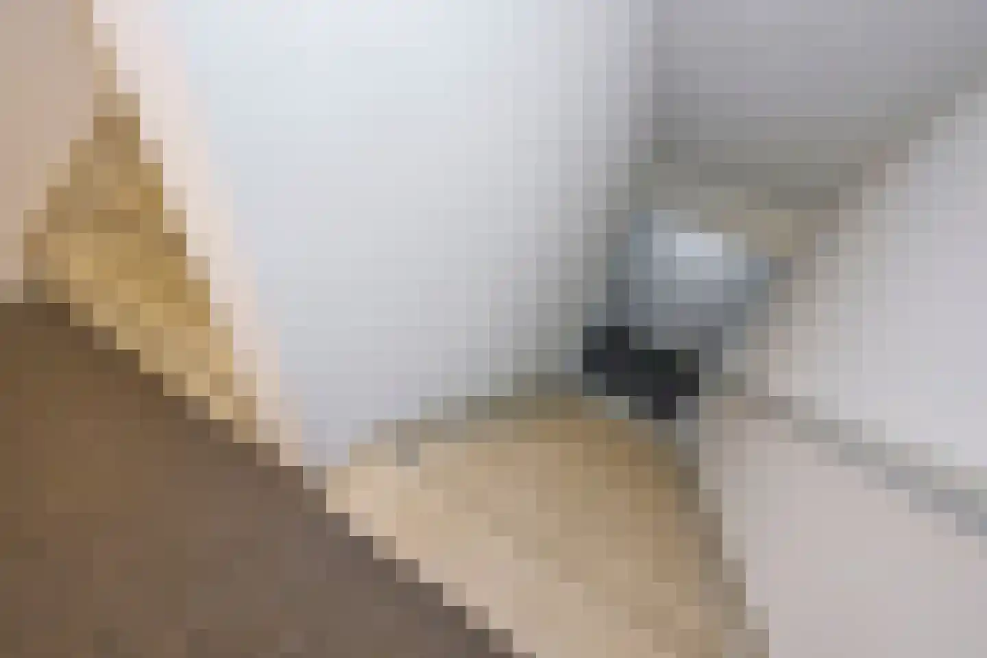 De Burcht 5 Purmerend thumbnail 17