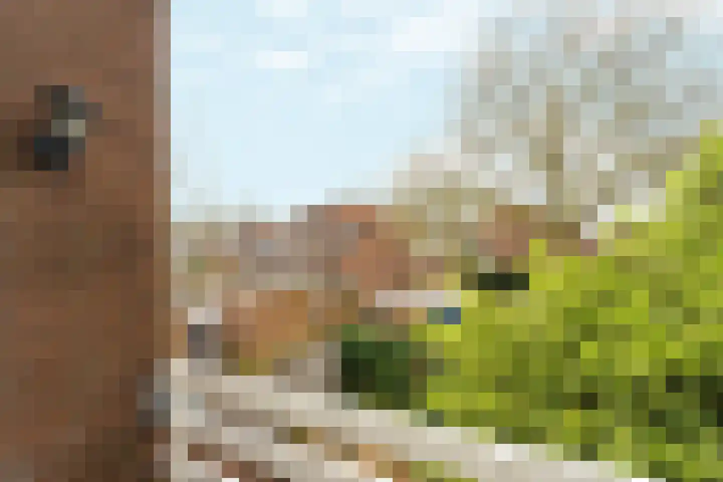 De Burcht 50 Arnhem thumbnail 18