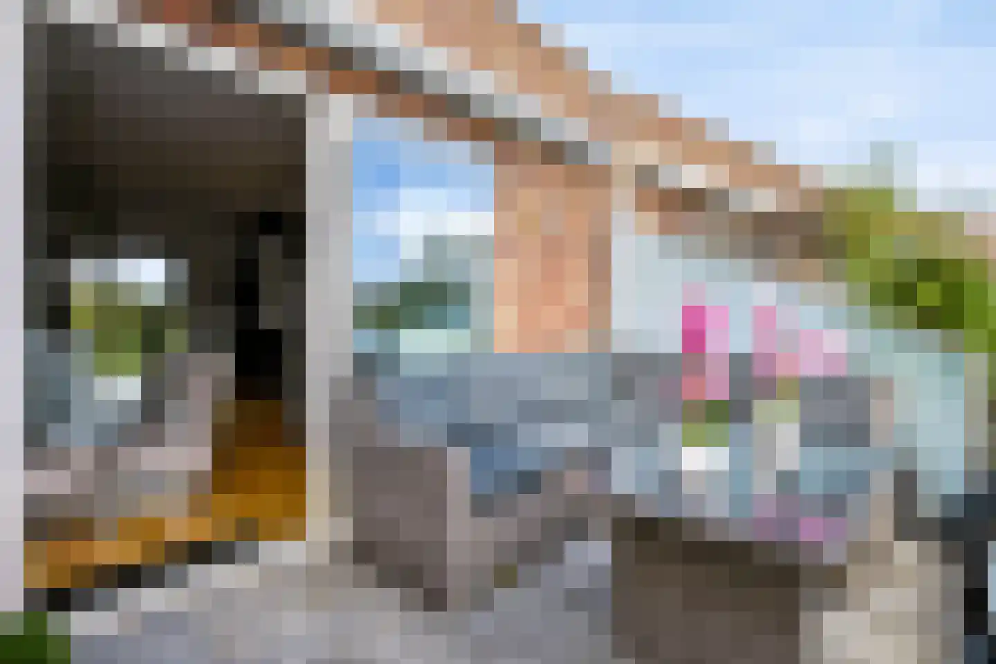 De Burcht 52 Apeldoorn thumbnail 14