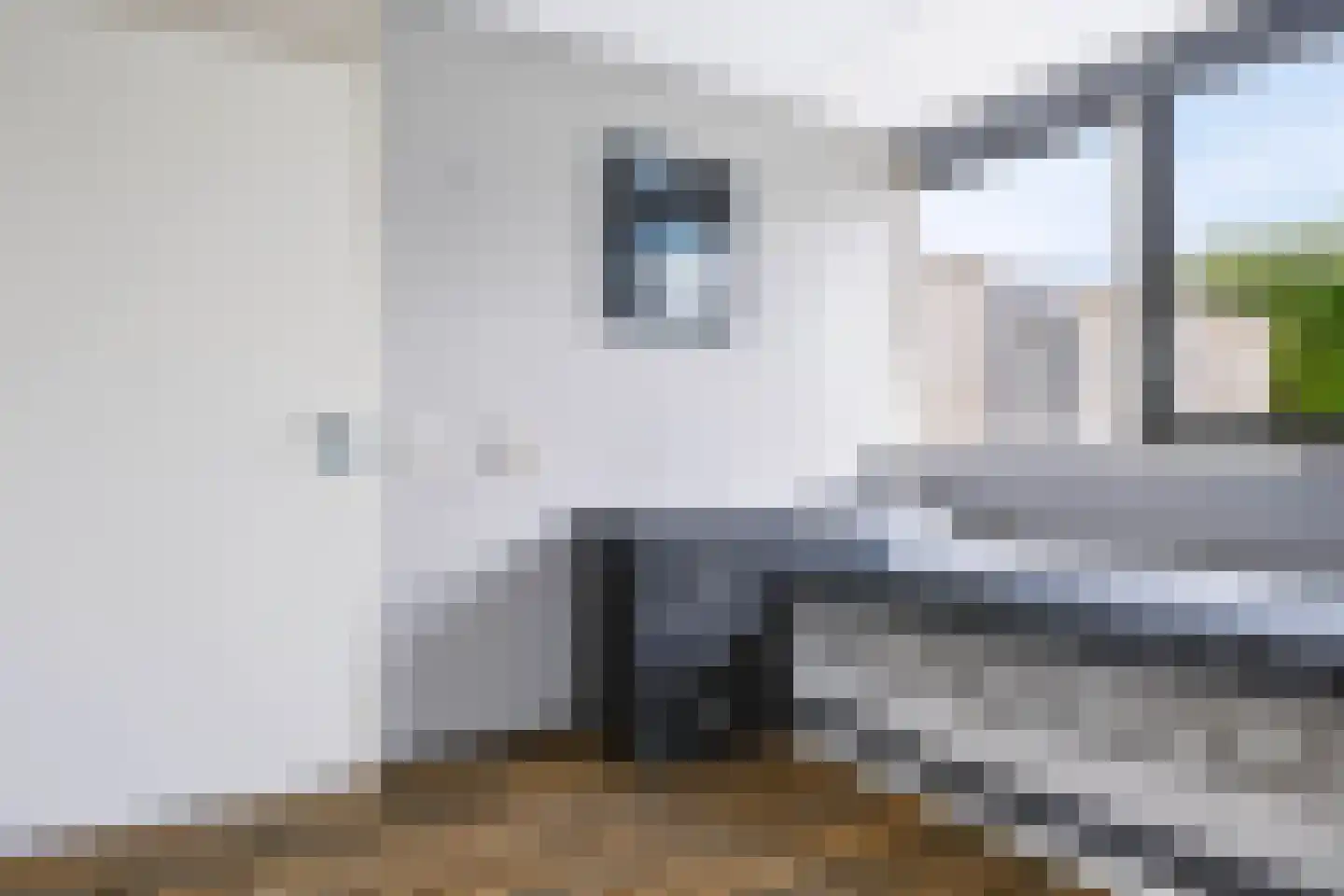 De Burcht 52 Apeldoorn thumbnail 19
