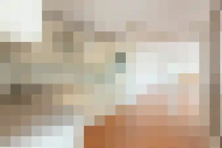 De Burcht 6 Heiloo thumbnail 15