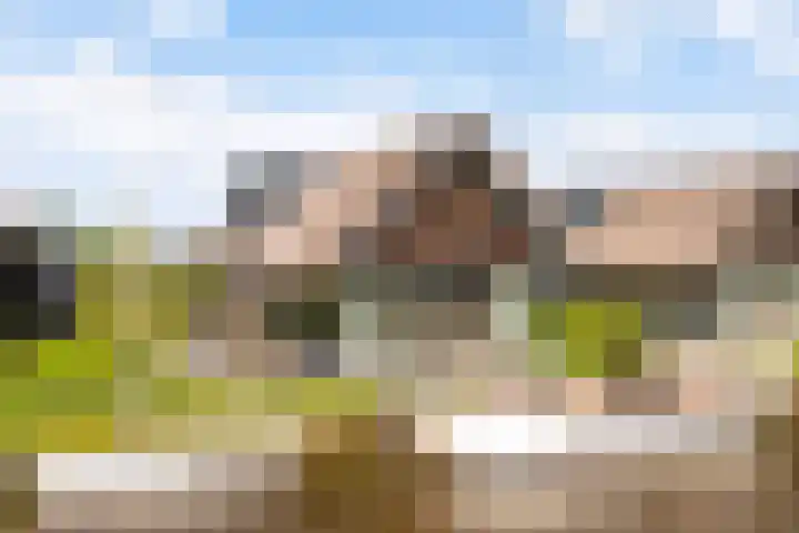 De Burd 25 B 004 en Heeg