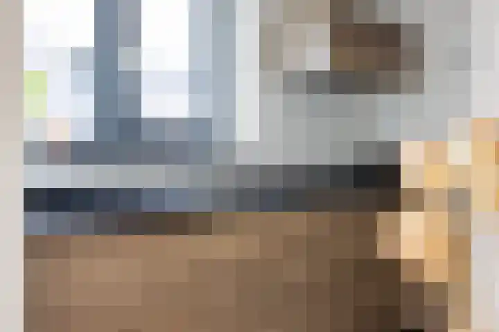 De Burd 25 B 004 Heeg thumbnail 12