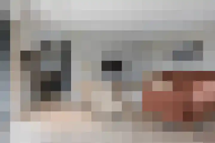 De Burd 25 B 004 Heeg thumbnail 14