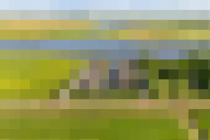 De Burd 25 B 004 Heeg foto 2