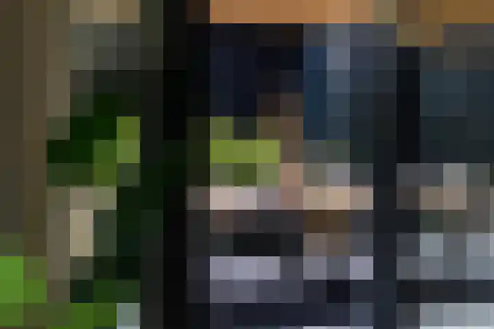 De Burd 25 B 004 Heeg thumbnail 26