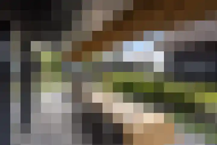 De Burd 25 B 004 Heeg thumbnail 27