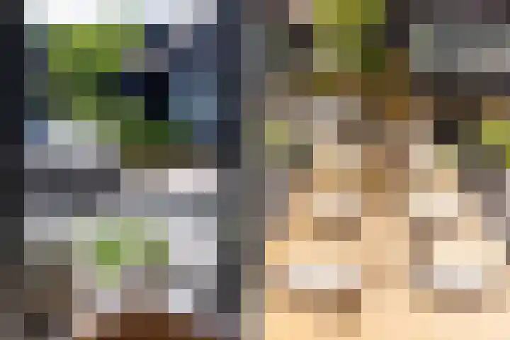 De Burd 25 B 004 Heeg thumbnail 28