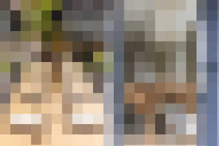 De Burd 25 B 004 Heeg thumbnail 29