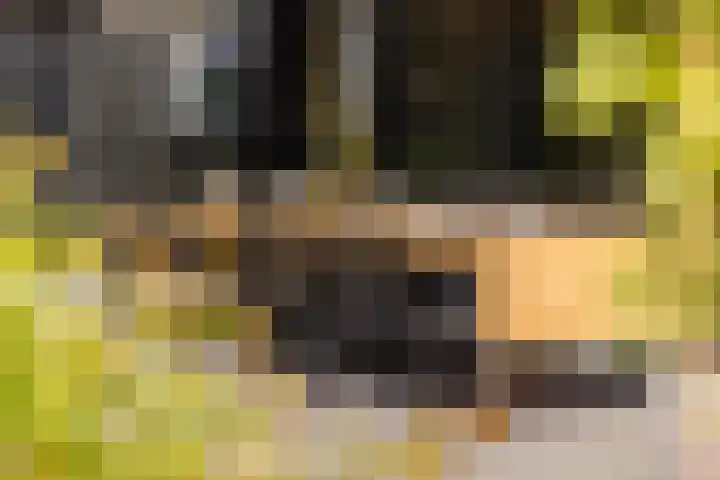 De Burd 25 B 004 Heeg thumbnail 31