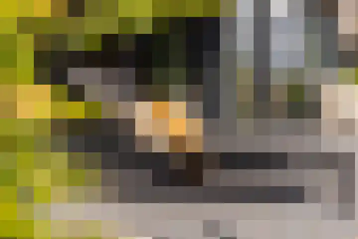 De Burd 25 B 004 Heeg thumbnail 32