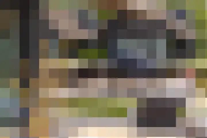 De Burd 25 B 004 Heeg thumbnail 34