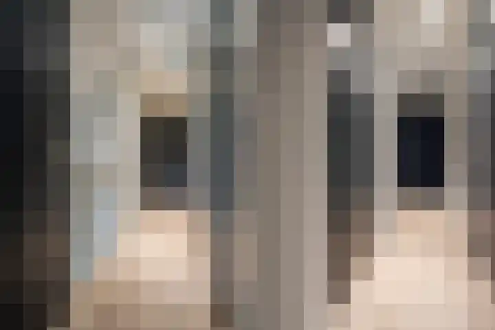 De Burd 25 B 004 Heeg thumbnail 35