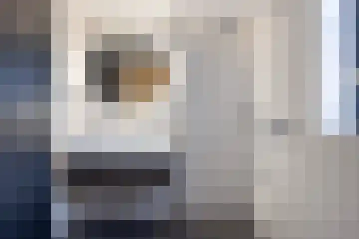 De Burd 25 B 004 Heeg thumbnail 39