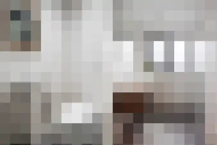 De Burd 25 B 004 Heeg thumbnail 47