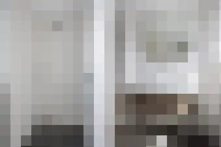 De Burd 25 B 004 Heeg thumbnail 48