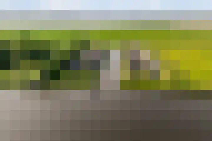 De Burd 25 B 004 Heeg thumbnail 51