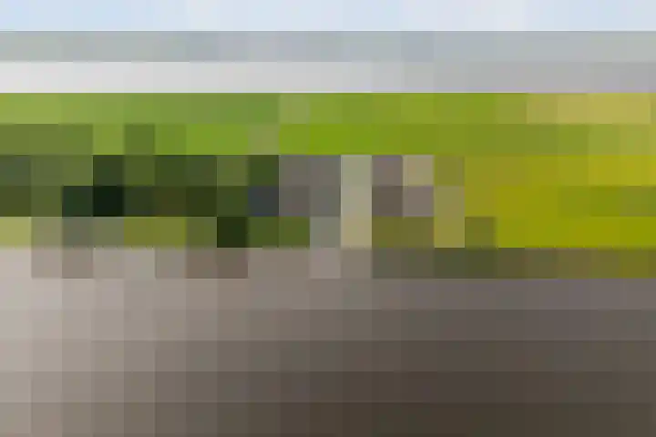 De Burd 25 B 004 Heeg thumbnail 52