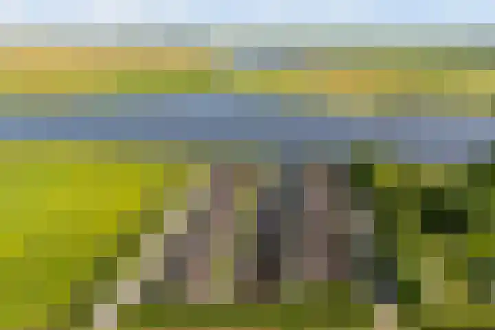 De Burd 25 B 004 Heeg thumbnail 53