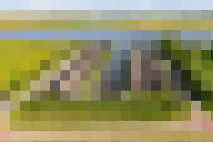 De Burd 25 B 004 Heeg thumbnail 55