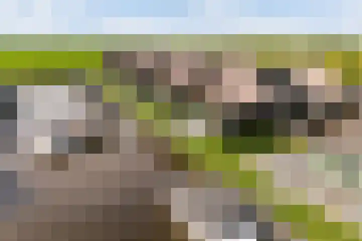 De Burd 25 B 004 Heeg thumbnail 56