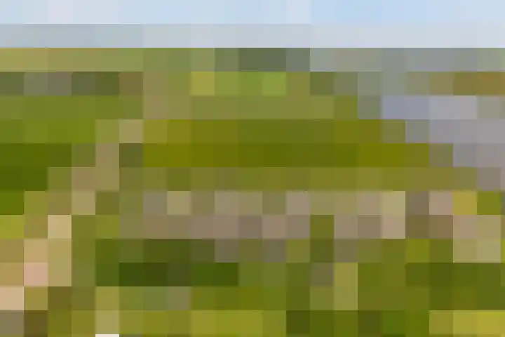 De Burd 25 B 004 Heeg thumbnail 57